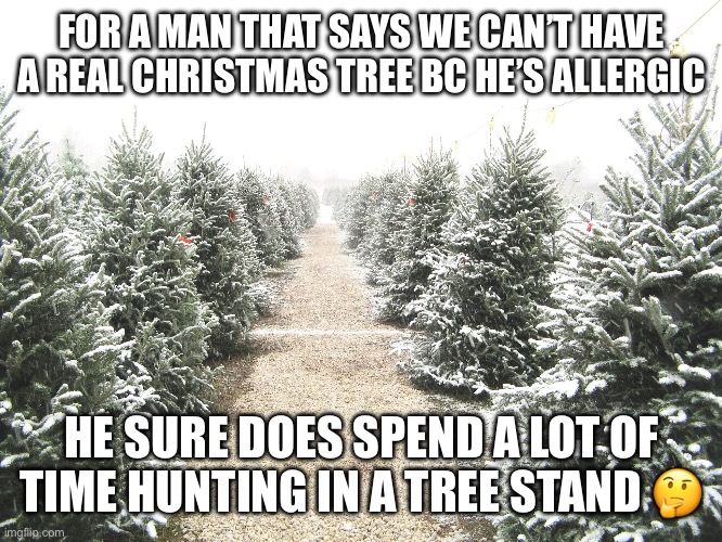 Husband math [mod note: wayment...] | FOR A MAN THAT SAYS WE CAN’T HAVE A REAL CHRISTMAS TREE BC HE’S ALLERGIC; HE SURE DOES SPEND A LOT OF TIME HUNTING IN A TREE STAND 🤔 | made w/ Imgflip meme maker