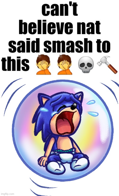 Can’t believe nat said smash to this | image tagged in can t believe nat said smash to this | made w/ Imgflip meme maker