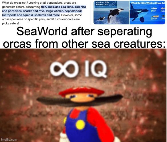 And that's why they're called "killer whales." | SeaWorld after seperating orcas from other sea creatures: | image tagged in infinite iq,seaworld,orca,smart,killer whale | made w/ Imgflip meme maker