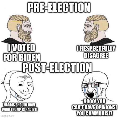 seriously let people have opinions | PRE-ELECTION; I VOTED FOR BIDEN; I RESPECTFULLY DISAGREE; POST-ELECTION; NOOO! YOU CAN’T HAVE OPINIONS! YOU COMMUNIST! HARRIS SHOULD HAVE WON! TRUMP IS RACIST! | image tagged in chad vs masked soyboy | made w/ Imgflip meme maker