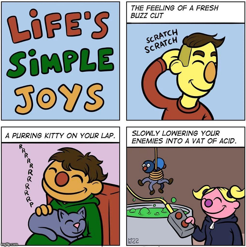 Joy's in life | image tagged in comics | made w/ Imgflip meme maker