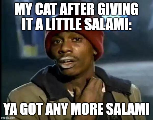 Y'all Got Any More Of That | MY CAT AFTER GIVING IT A LITTLE SALAMI:; YA GOT ANY MORE SALAMI | image tagged in memes,y'all got any more of that | made w/ Imgflip meme maker