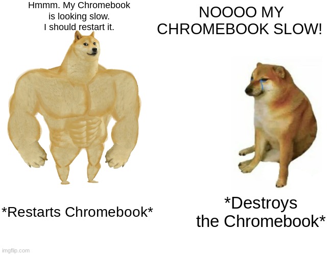 Buff Doge vs. Cheems Meme | Hmmm. My Chromebook is looking slow.
I should restart it. NOOOO MY CHROMEBOOK SLOW! *Restarts Chromebook*; *Destroys the Chromebook* | image tagged in memes,buff doge vs cheems | made w/ Imgflip meme maker