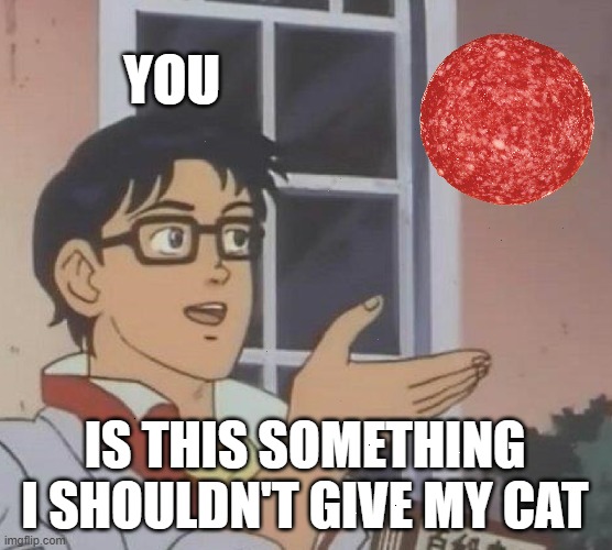 Is This A Pigeon | YOU; IS THIS SOMETHING I SHOULDN'T GIVE MY CAT | image tagged in memes,is this a pigeon | made w/ Imgflip meme maker