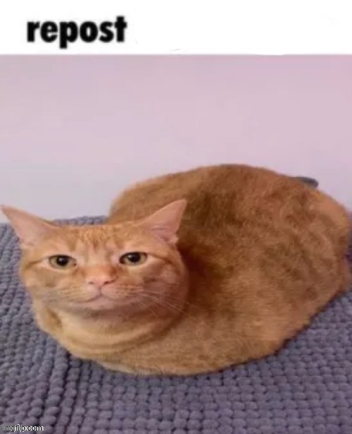 repost if you agree | image tagged in repost if you agree | made w/ Imgflip meme maker