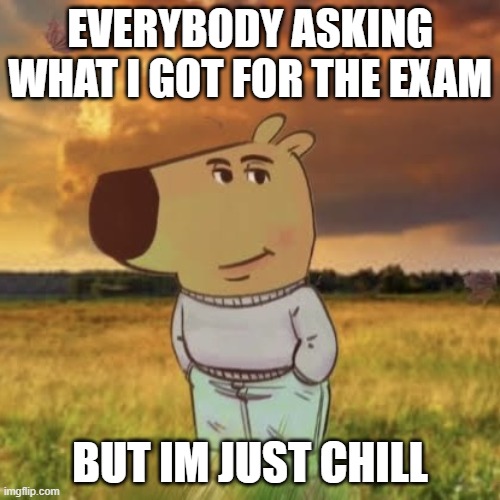 Chill guy | EVERYBODY ASKING WHAT I GOT FOR THE EXAM; BUT IM JUST CHILL | image tagged in chill guy | made w/ Imgflip meme maker