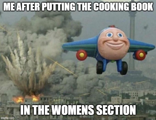 Plane flying from explosions | ME AFTER PUTTING THE COOKING BOOK; IN THE WOMENS SECTION | image tagged in plane flying from explosions | made w/ Imgflip meme maker