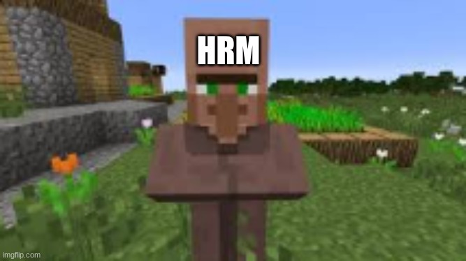 hrm | HRM | image tagged in minecraft,meme | made w/ Imgflip meme maker