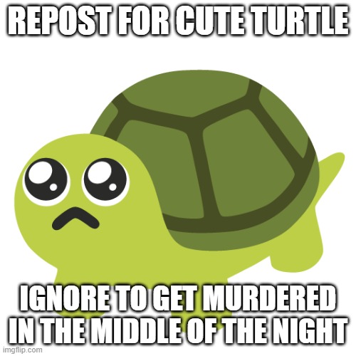 REPOST FOR CUTE TURTLE; IGNORE TO GET MURDERED IN THE MIDDLE OF THE NIGHT | made w/ Imgflip meme maker