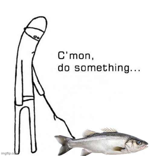 Something fishy is brewing... | image tagged in cmon do something,fish | made w/ Imgflip meme maker