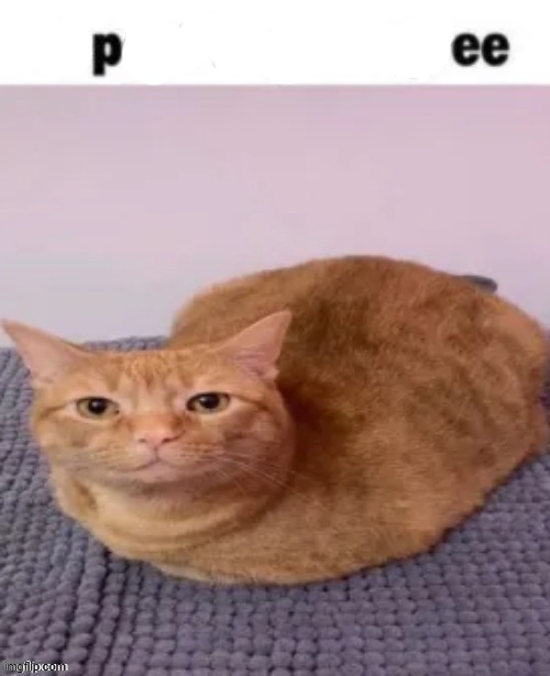 repost if you agree | image tagged in repost if you agree | made w/ Imgflip meme maker