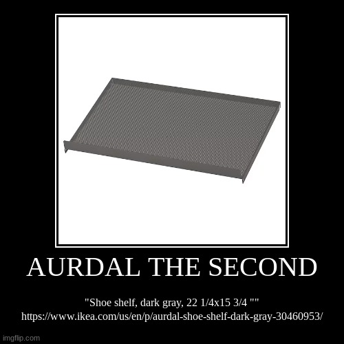 SHELF OF THE DAY DECEMBER 4, 2024 | AURDAL THE SECOND | "Shoe shelf, dark gray, 22 1/4x15 3/4 ""
https://www.ikea.com/us/en/p/aurdal-shoe-shelf-dark-gray-30460953/ | image tagged in funny,demotivationals | made w/ Imgflip demotivational maker