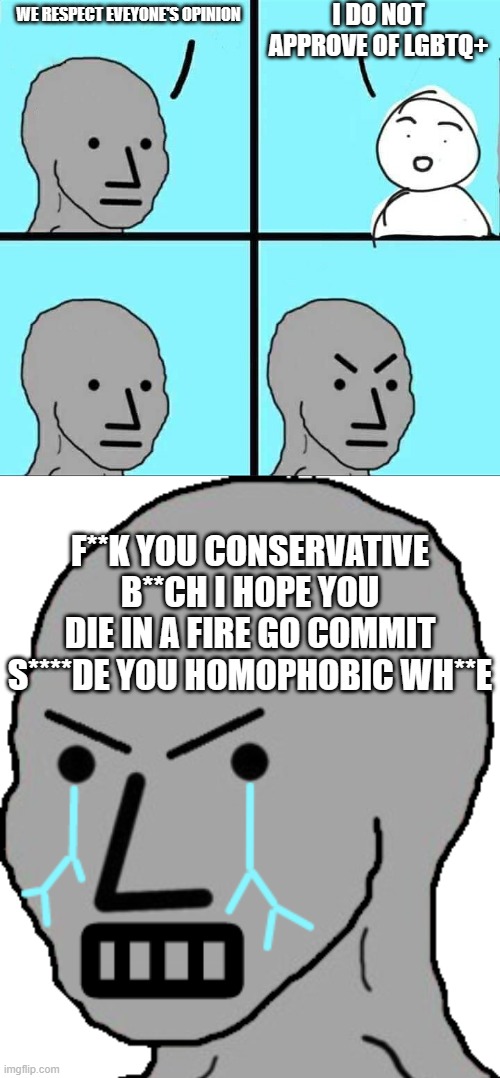 Double standards or no standards at all | I DO NOT APPROVE OF LGBTQ+; WE RESPECT EVEYONE'S OPINION; F**K YOU CONSERVATIVE B**CH I HOPE YOU DIE IN A FIRE GO COMMIT S****DE YOU HOMOPHOBIC WH**E | image tagged in npc meme,npc rage | made w/ Imgflip meme maker