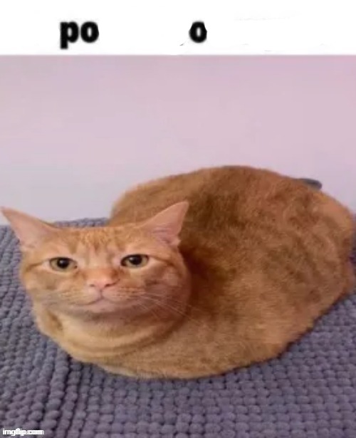 repost if you agree | image tagged in repost if you agree | made w/ Imgflip meme maker