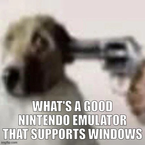 dog gunpoint | WHAT'S A GOOD NINTENDO EMULATOR THAT SUPPORTS WINDOWS | image tagged in dog gunpoint | made w/ Imgflip meme maker