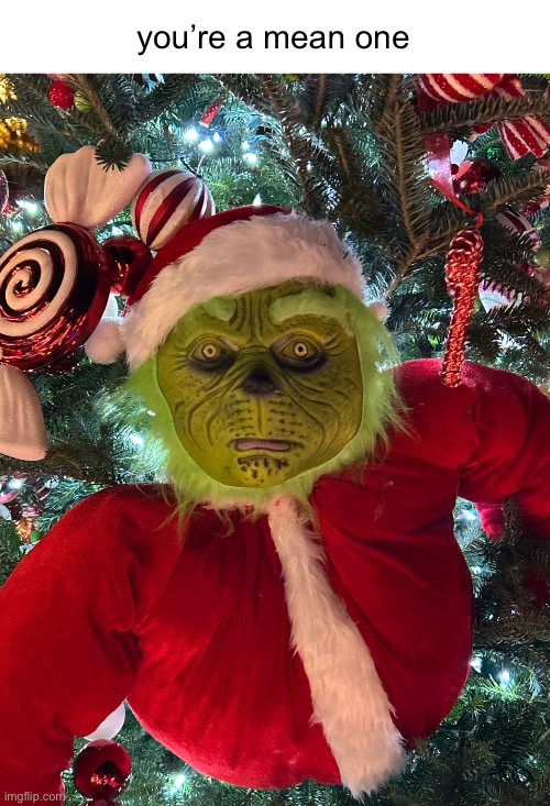 Grinch | you’re a mean one | image tagged in the grinch | made w/ Imgflip meme maker