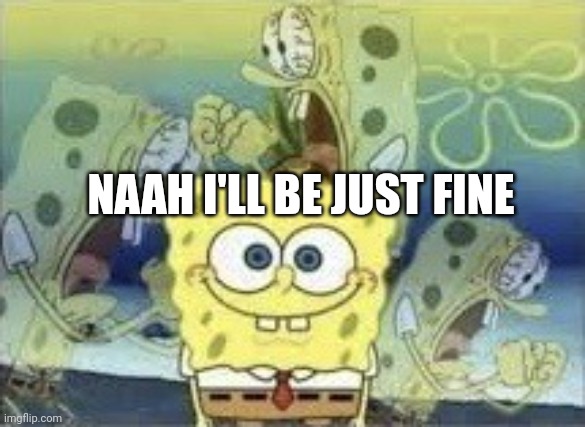 SpongeBob Internal Screaming | NAAH I'LL BE JUST FINE | image tagged in spongebob internal screaming | made w/ Imgflip meme maker