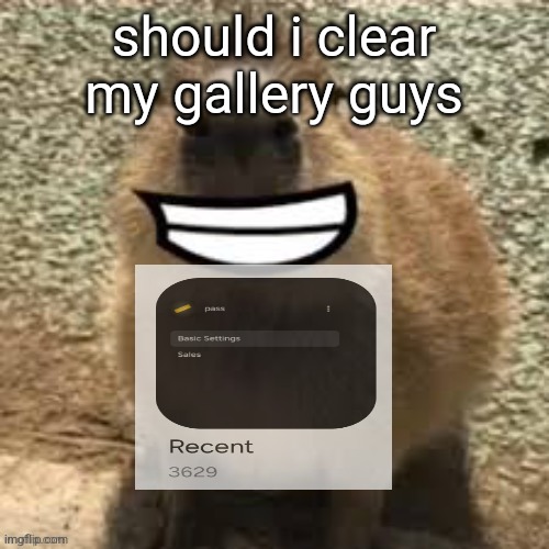 75% are memes | should i clear my gallery guys | image tagged in goofy ass capybara | made w/ Imgflip meme maker