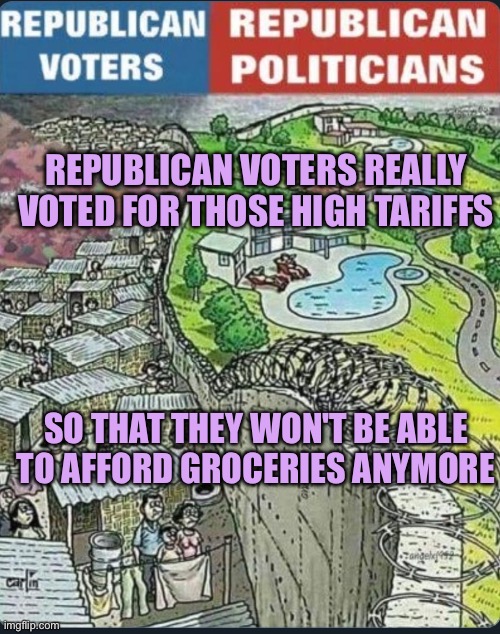 maga voted for tariffs and high prices | REPUBLICAN VOTERS REALLY VOTED FOR THOSE HIGH TARIFFS; SO THAT THEY WON'T BE ABLE TO AFFORD GROCERIES ANYMORE | image tagged in the incredible stupidity of maga | made w/ Imgflip meme maker