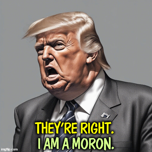 75 million Harris voters can't be wrong. | THEY'RE RIGHT. I AM A MORON. | image tagged in trump,moron,fool,dummy,idiot,ignorant | made w/ Imgflip meme maker