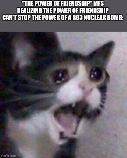 Screaming Cat meme | "THE POWER OF FRIENDSHIP" MFS REALIZING THE POWER OF FRIENDSHIP CAN'T STOP THE POWER OF A B83 NUCLEAR BOMB: | image tagged in screaming cat meme | made w/ Imgflip meme maker