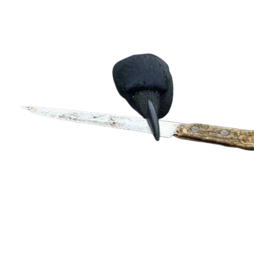 crow with knife head Blank Meme Template