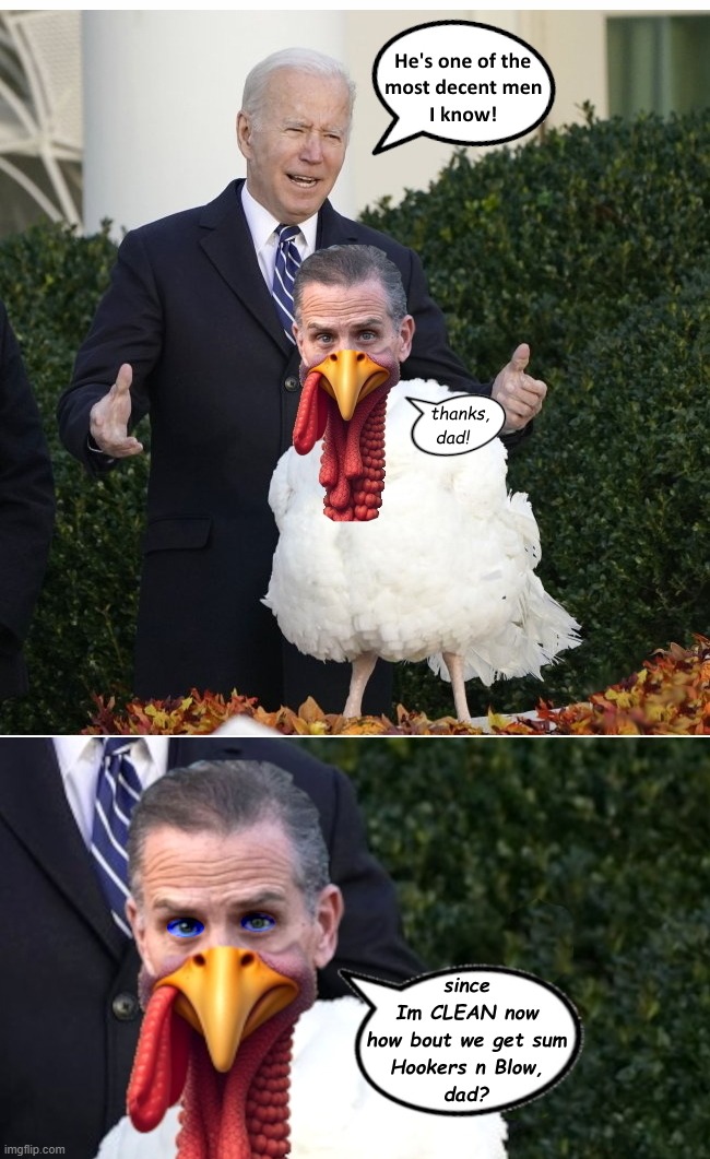 3rd Turkey Pardoned | image tagged in hunter biden,turkey day,thanksgiving,pardon,joe biden,government corruption | made w/ Imgflip meme maker