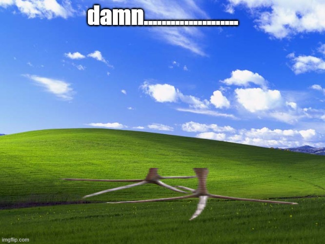 Windows XP Wallpaper | damn..................... | image tagged in windows xp wallpaper | made w/ Imgflip meme maker