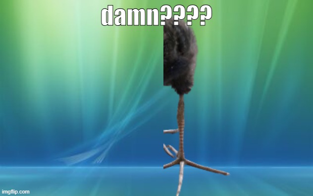 damn???? | damn???? | image tagged in windows vista log on background | made w/ Imgflip meme maker