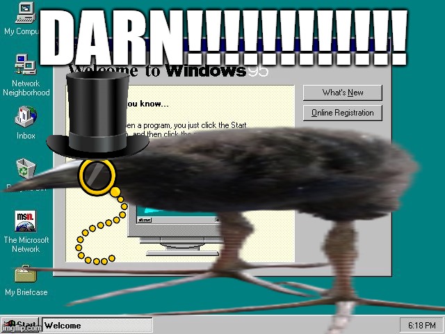 old damn!!!!!! bird | DARN!!!!!!!!!!!! | image tagged in windows 95 | made w/ Imgflip meme maker