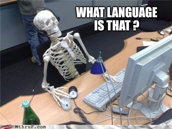 Waiting skeleton | WHAT LANGUAGE IS THAT ? | image tagged in waiting skeleton | made w/ Imgflip meme maker