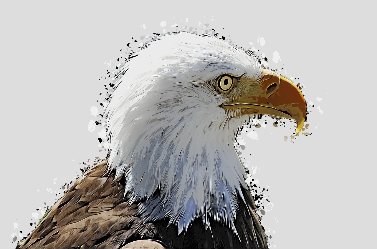 High Quality I'm a eagle Blank Meme Template