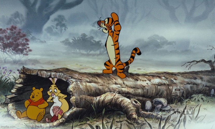 MeTV - *TMAoWtP | image tagged in disney,winnie the pooh,tv,70s,movie,animated | made w/ Imgflip meme maker