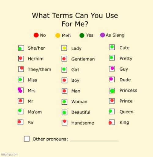 bam | image tagged in pronouns sheet | made w/ Imgflip meme maker