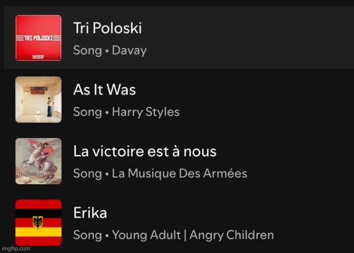 Four latest songs I looked on Spotify | image tagged in spotify,msmg,erika | made w/ Imgflip meme maker