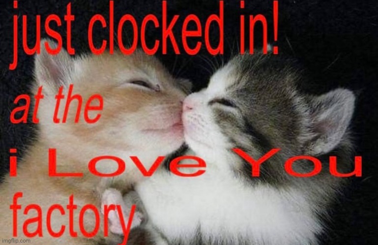 The I Love You factory! | image tagged in i love you,cats,cute cats,cute cat,cute cat hehe and not hehe,love | made w/ Imgflip meme maker