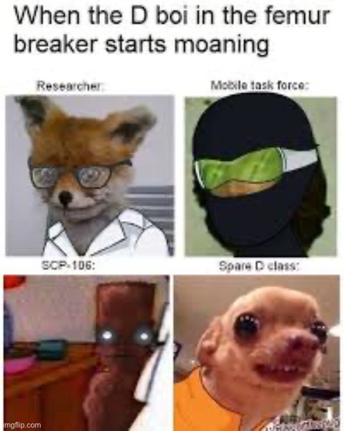 E | image tagged in scp meme,scp,why,oh wow are you actually reading these tags | made w/ Imgflip meme maker