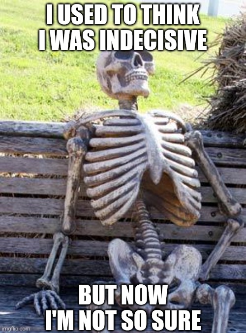 Decisions | I USED TO THINK I WAS INDECISIVE; BUT NOW I'M NOT SO SURE | image tagged in memes,waiting skeleton | made w/ Imgflip meme maker