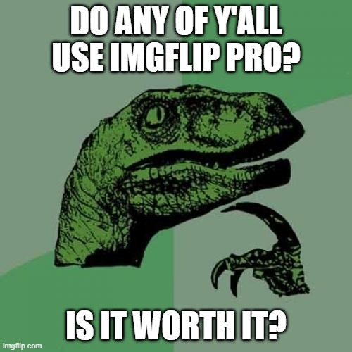 I have a squirrel tail. | DO ANY OF Y'ALL USE IMGFLIP PRO? IS IT WORTH IT? | image tagged in memes,philosoraptor | made w/ Imgflip meme maker