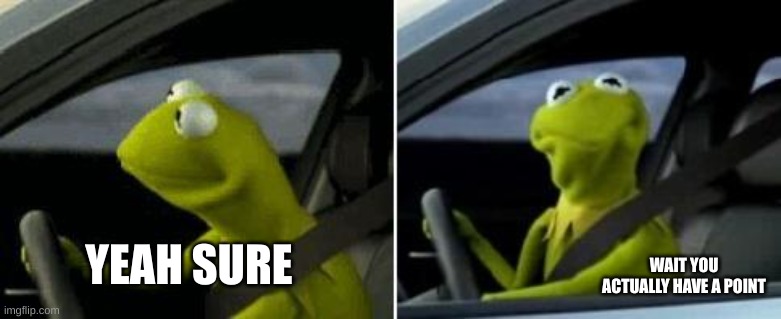 Kermit Driver | YEAH SURE WAIT YOU ACTUALLY HAVE A POINT | image tagged in kermit driver | made w/ Imgflip meme maker