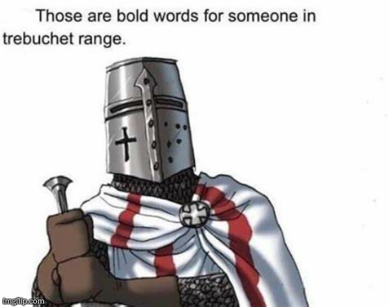 Those are bold words for someone in trebuchet range | image tagged in those are bold words for someone in trebuchet range | made w/ Imgflip meme maker