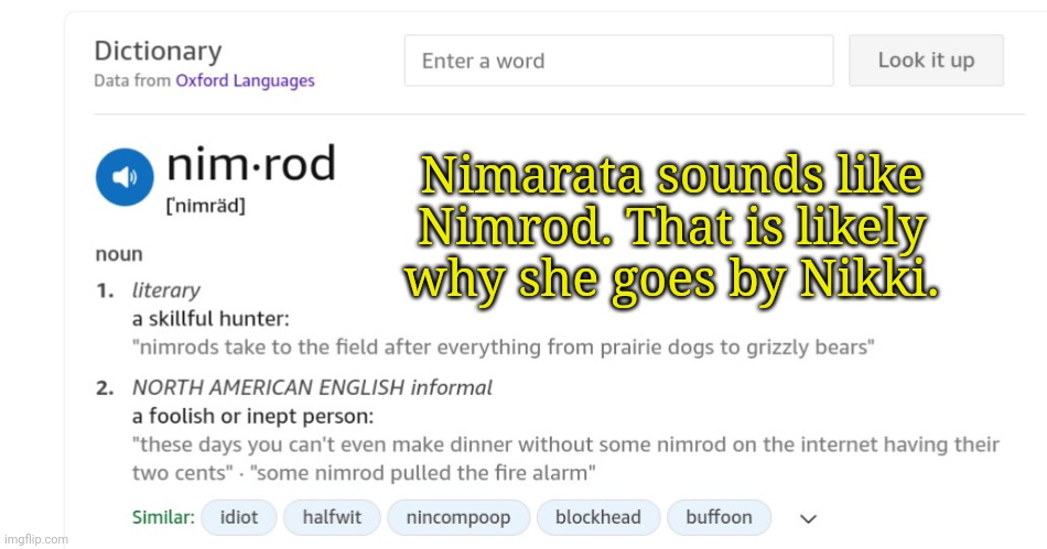 Nimarata sounds like Nimrod. That is likely why she goes by Nikki. | made w/ Imgflip meme maker