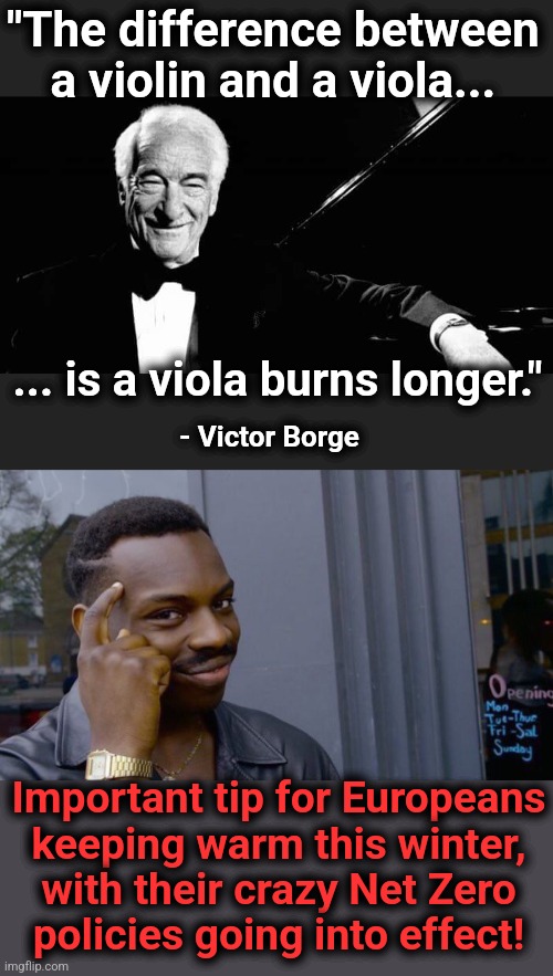 Victor Borge speaks | "The difference between a violin and a viola... ... is a viola burns longer."; - Victor Borge; Important tip for Europeans
keeping warm this winter,
with their crazy Net Zero
policies going into effect! | image tagged in memes,roll safe think about it,violin,viola,net zero,europeans | made w/ Imgflip meme maker