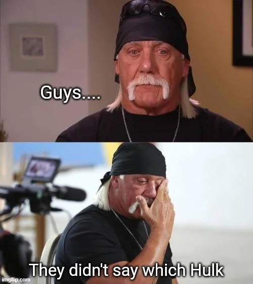 Loophole time | image tagged in memes,funny,hulk hogan,lol,shitpost | made w/ Imgflip meme maker