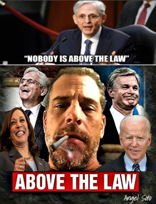 Nobody is above the law, except the Bidens' Blank Meme Template