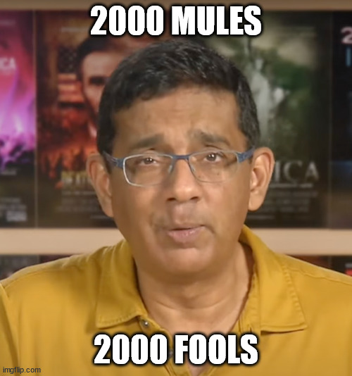 Dinesh D'Souza | 2000 MULES; 2000 FOOLS | image tagged in memes | made w/ Imgflip meme maker