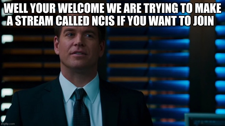 anthony dinozzo | WELL YOUR WELCOME WE ARE TRYING TO MAKE A STREAM CALLED NCIS IF YOU WANT TO JOIN | image tagged in anthony dinozzo | made w/ Imgflip meme maker