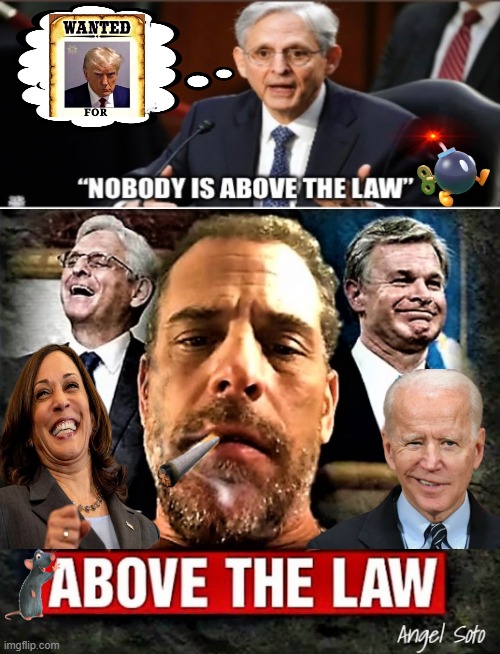 Nobody is above the law except the Bidens' | image tagged in nobody is above the law except hunter biden,joe biden,hunter biden,trump,merrick garland,doj | made w/ Imgflip meme maker