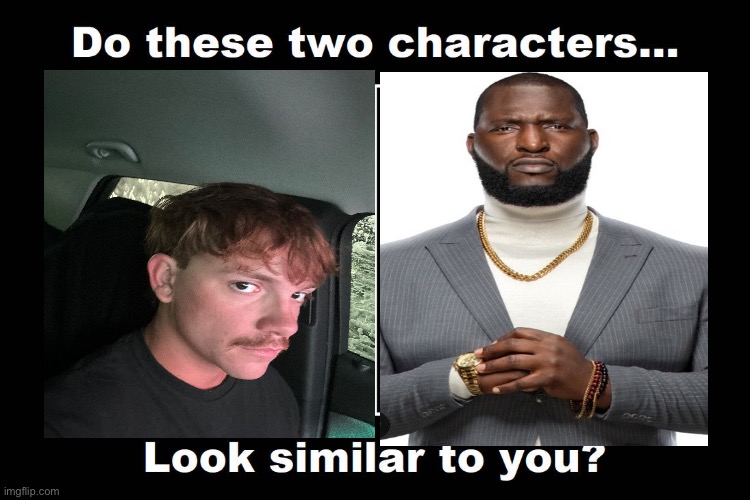 Do These Two Characters Look Similar To You Meme | image tagged in do these two characters look similar to you meme | made w/ Imgflip meme maker