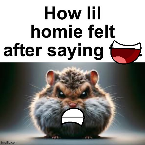 How lil homie felt after saying that | image tagged in how lil homie felt after saying that | made w/ Imgflip meme maker